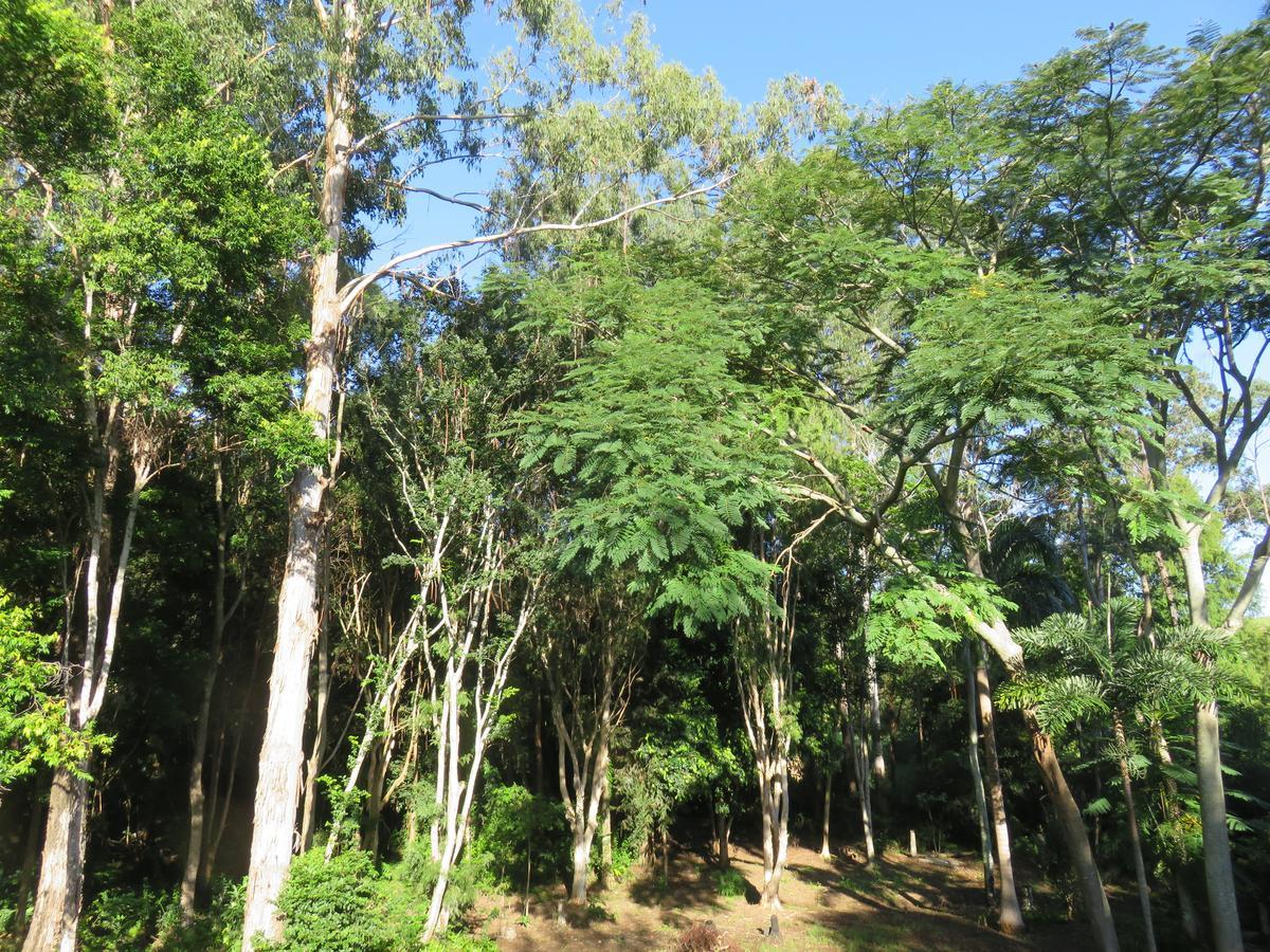 Keillor Lodge Maleny Bagian luar foto