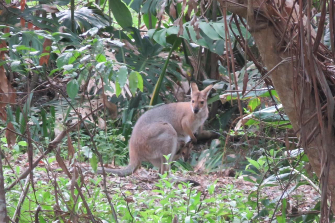 Keillor Lodge Maleny Bagian luar foto